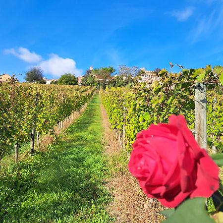 B&B Vigneto Pardom Montiglio Kültér fotó
