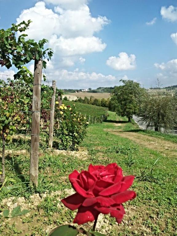 B&B Vigneto Pardom Montiglio Kültér fotó
