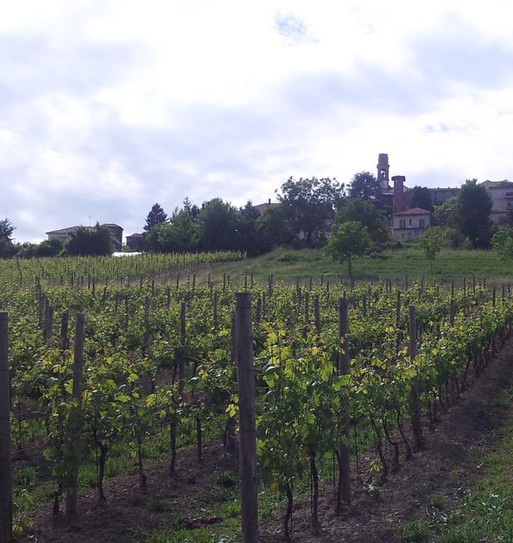 B&B Vigneto Pardom Montiglio Kültér fotó