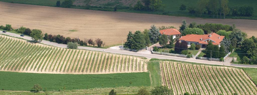 B&B Vigneto Pardom Montiglio Kültér fotó